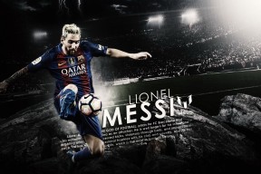 斯图加特主场胜出，球迷欢呼雀跃，斯图加特vs