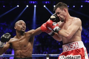 智能青训“全链条”管理平台在行业中逐步普及，行业数字化持续深入